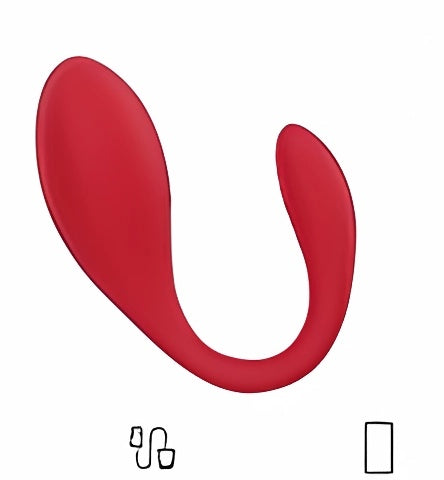 Pareja vibrador AW1041 de control